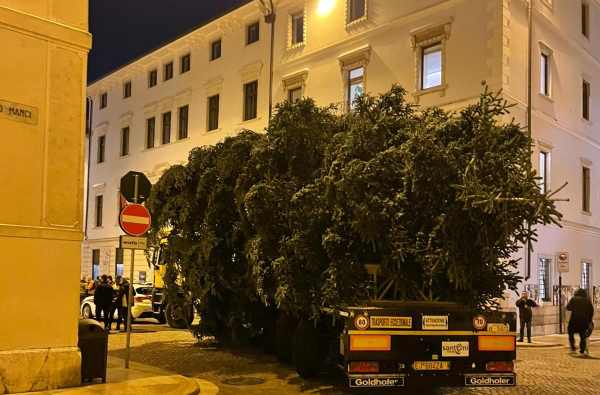 TRENTINO - Arrivato in ritardo l'abete centenario che illuminerà piazza Duomo