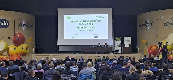 TRENTINO - Protezione di melo e pero, 250 esperti del Nord Italia a confronto