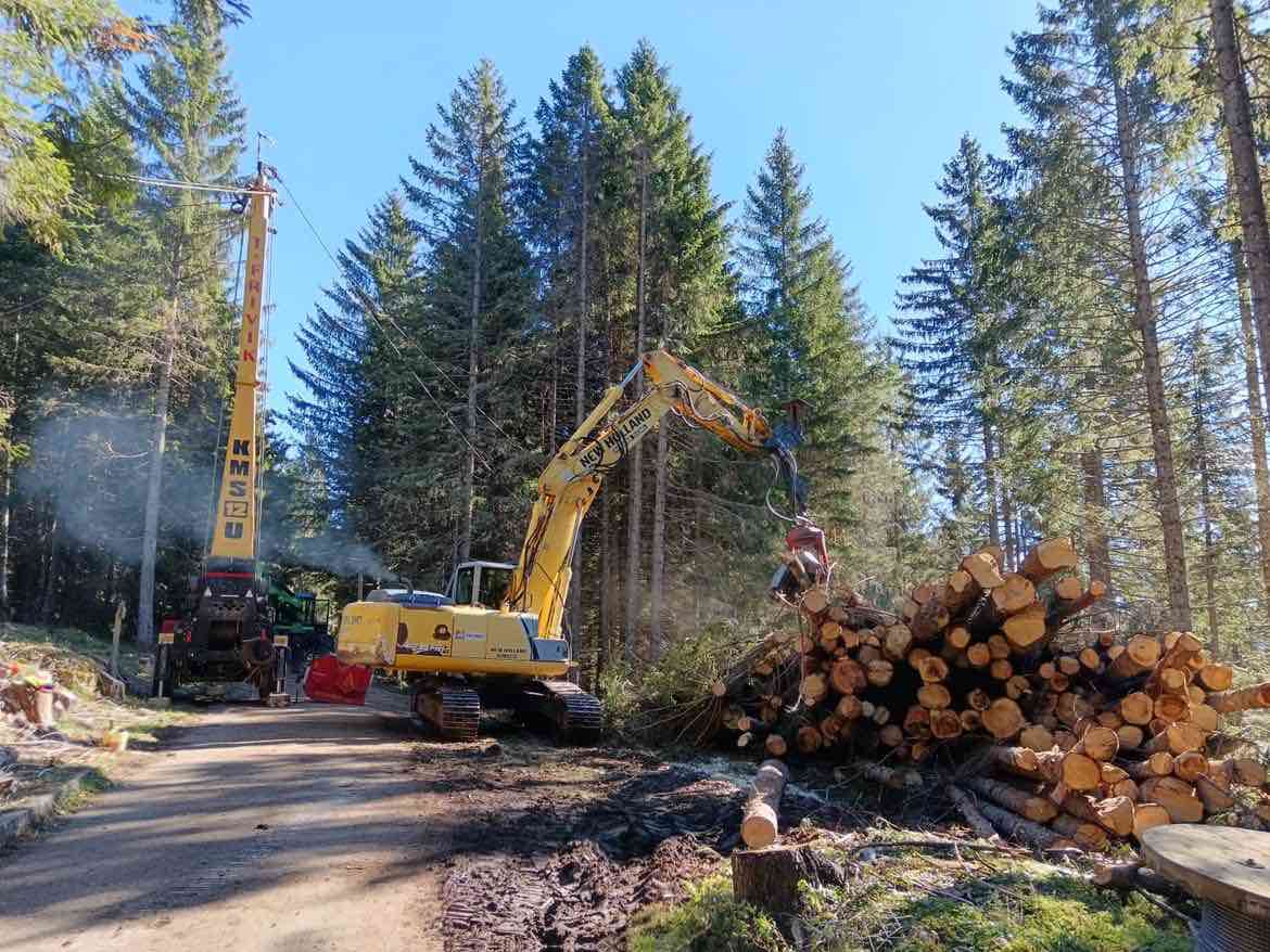 TRENTINO - Cantieri forestali sperimentali di diradamento nei giovani boschi di conifere