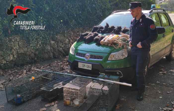 CRONACA - Nel Bresciano bracconiere denunciato dai carabinieri Forestali