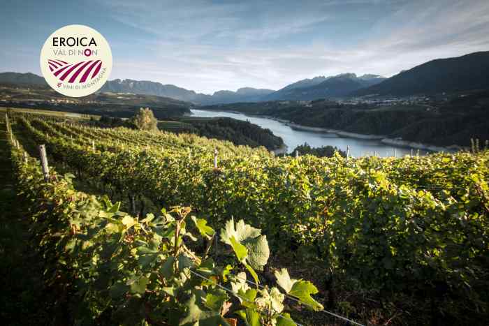 ATTUALITÀ - Eroica Val di Non 2025: gli appuntamenti