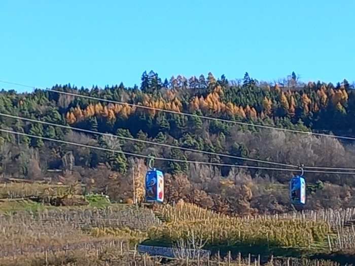 TRENTINO - Val di Non: inaugurata dalla premier Meloni la funivia delle mele