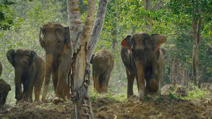 ATTUALITÀ - Ultimi tre documentari alla XXXIX edizione di Sondrio Festival