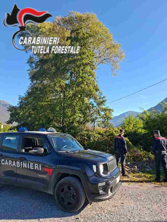 CRONACA - I carabinieri Forestali scoprono rifiuti abbandonati a Costa Volpino