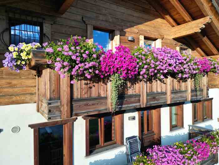 EVENTO - Bormio in fiore, i vincitori: residence Pedranzini e Laura Cantoni