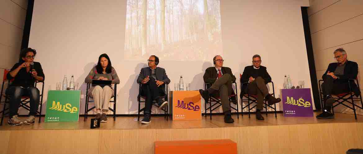 ATTUALITÀ - Boschi, gestione attiva per affrontare il cambiamento