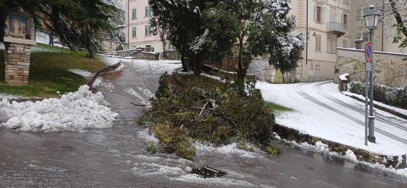 METEO - A Trento in azione 50 mezzi spazzaneve