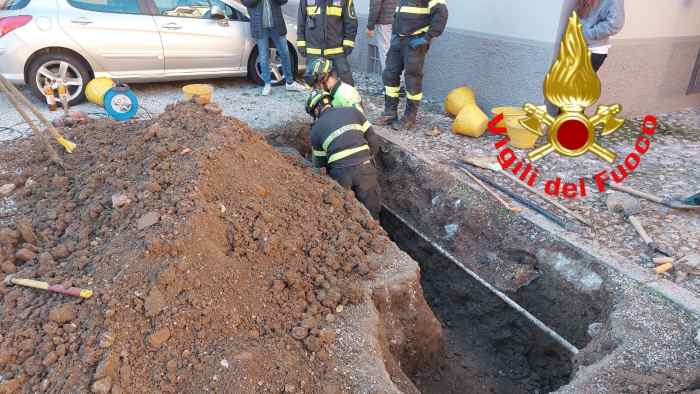 CRONACA - Nel Bresciano i vigili del fuoco salvano un cane 