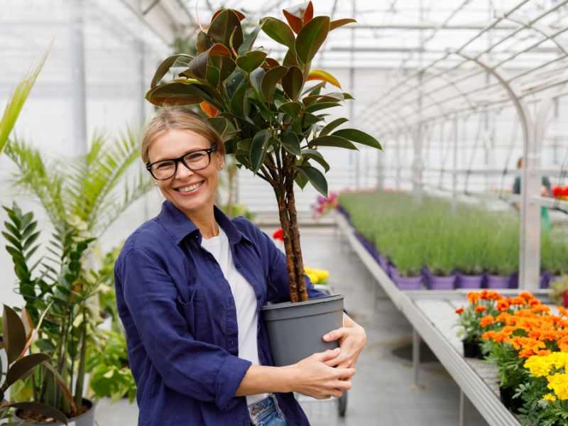 ATTUALITÀ - Piante e stile: come arredare casa con il verde e dare personalità agli ambienti