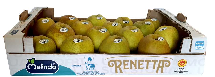 CLES - La Mela Renetta DOP ancora alleata della ricerca