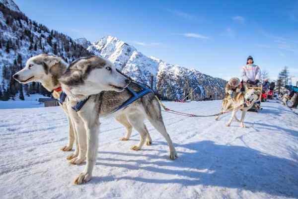 ATTUALITÀ - Val di Sole: gusto, sport, natura, benessere e cultura