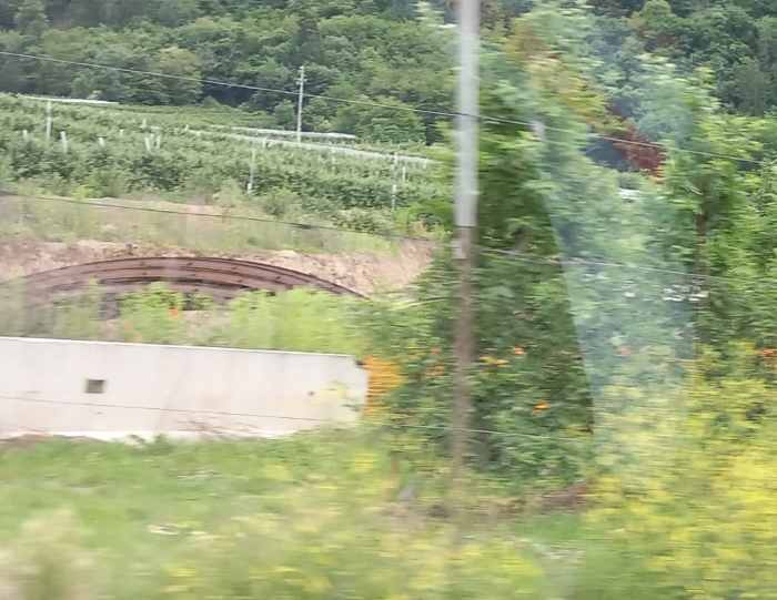 VALTELLINA - Tangenziale di Tirano, l'attacco del Pd sulle opere olimpiche