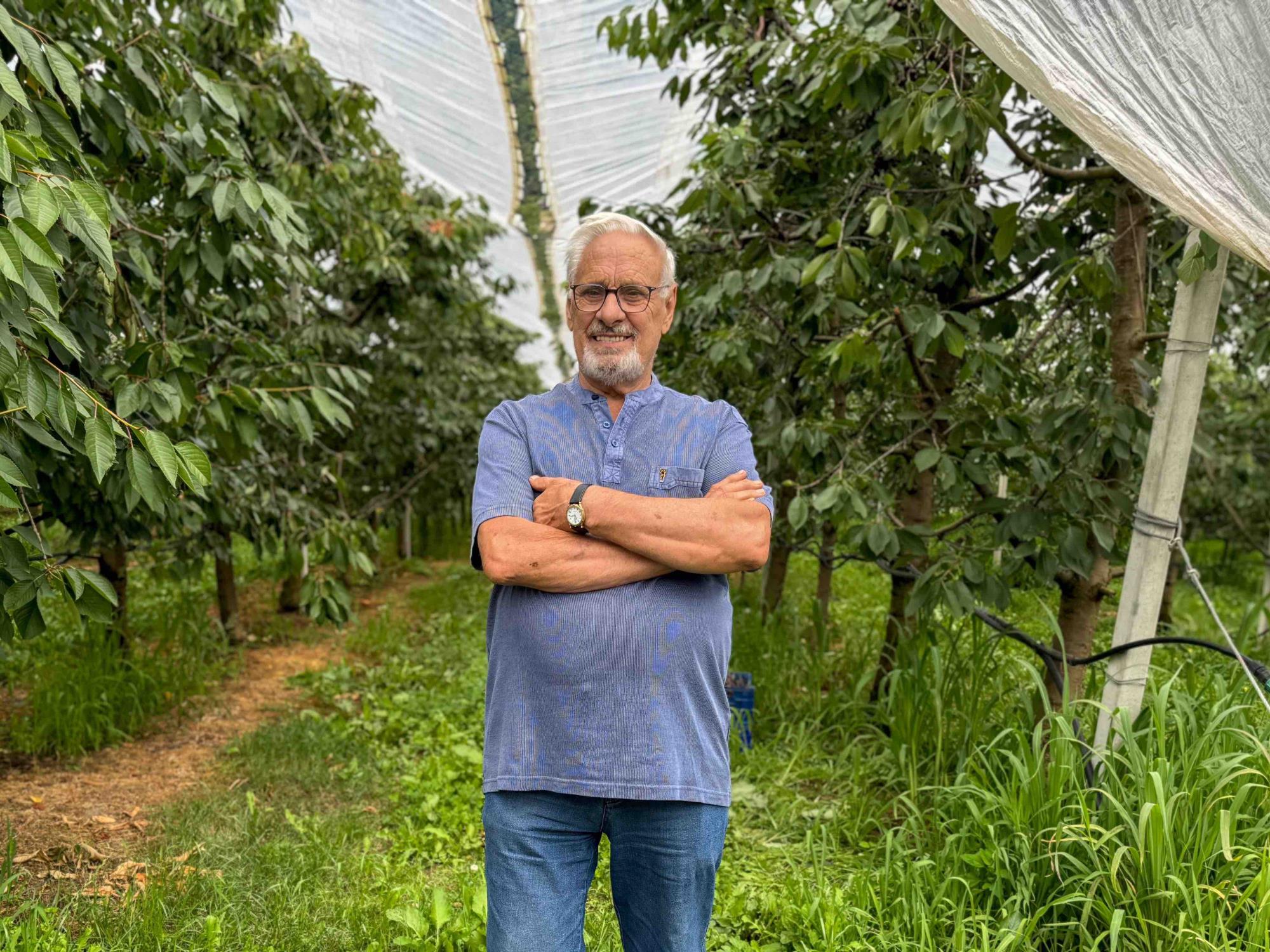 ATTUALITÀ - Bilancio del Consorzio Consorzio Interregionale Ortofrutticolo