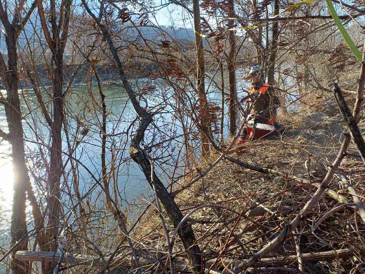 ATTUALITÀ - Corsi d’acqua più sicuri, al via i tagli della vegetazione in Trentino