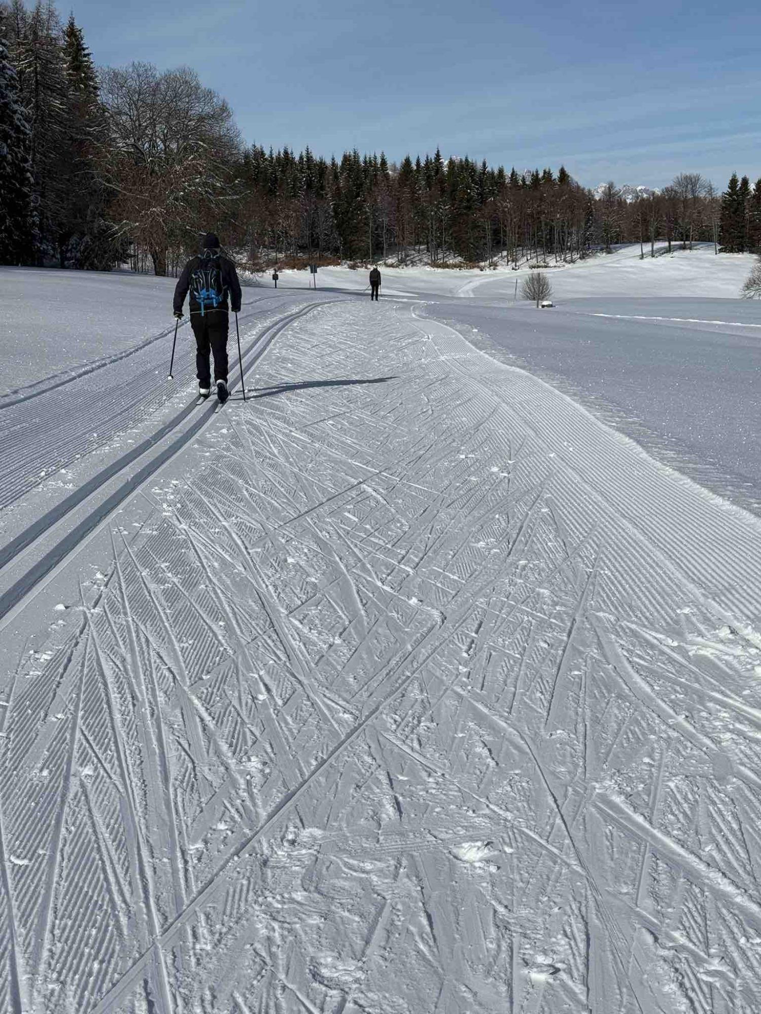 ATTUALITÀ - Piana delle Viote, 20 km di piste aperte al Centro Fondo
