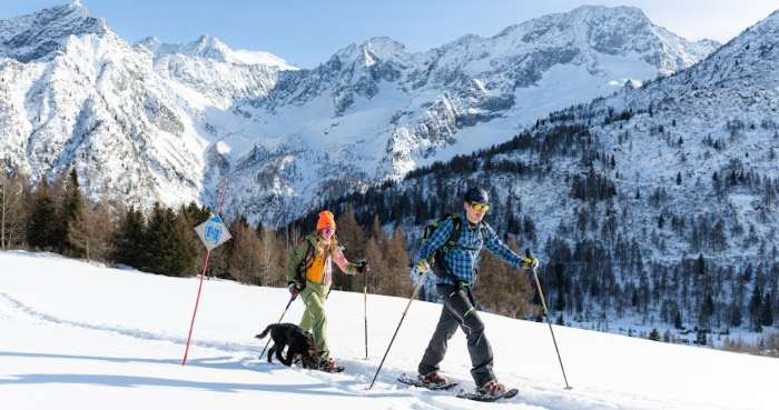 ATTUALITÀ - Esperienze immersive nei Parchi dell’Adamello e dello Stelvio