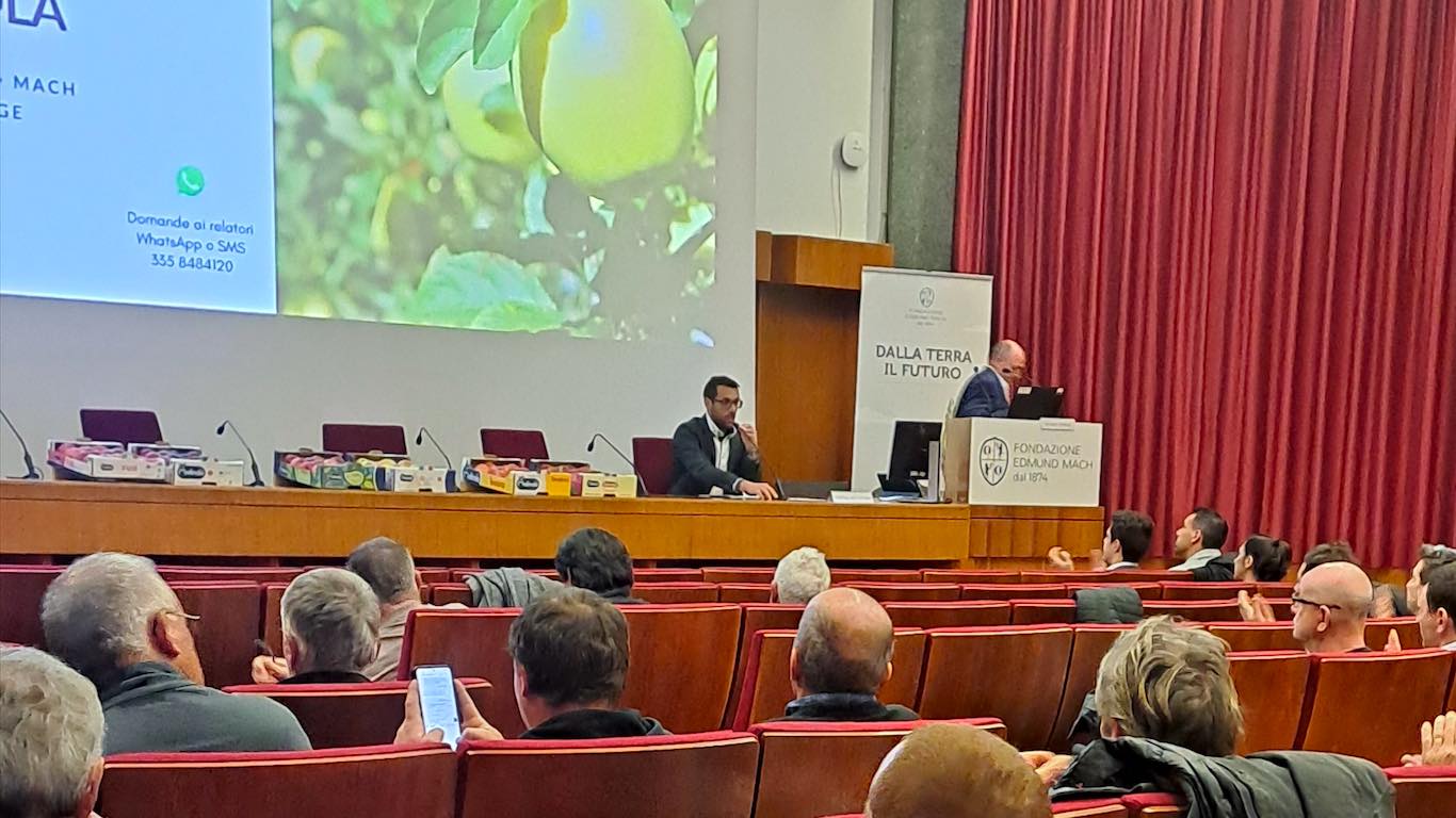 VAL DI SOLE E NON - FEM: scopazzi nel mirino dei monitoraggi primaverili e cimice asiatica sotto controllo