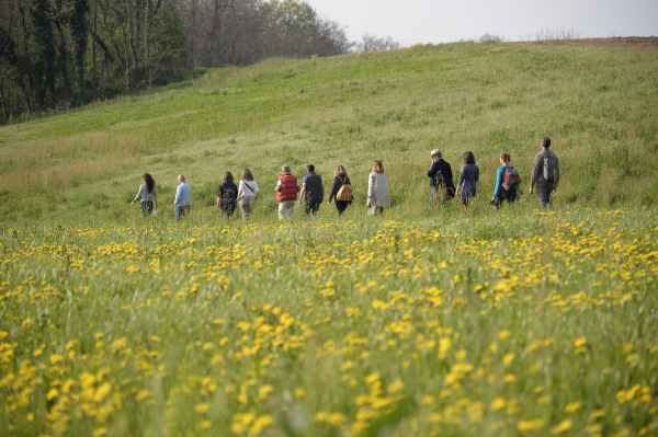 EVENTO - Sull'Altopiano del Sole nasce il Festival del Bosco