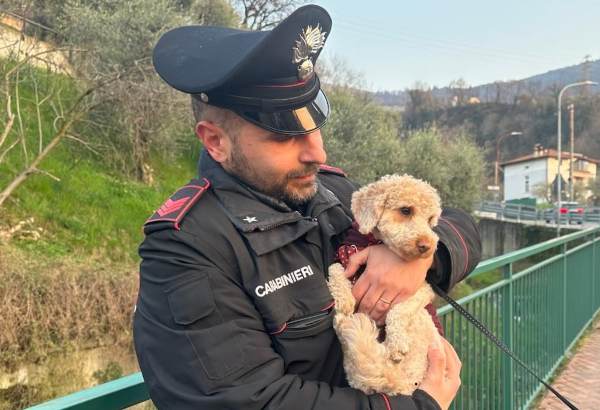 SEBINO - Turisti spagnoli abbandonano cagnolina a Sulzano, denunciati