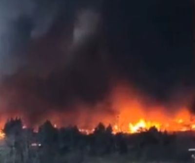 CRONACA - Devastante incendio in un allevamento di Avio