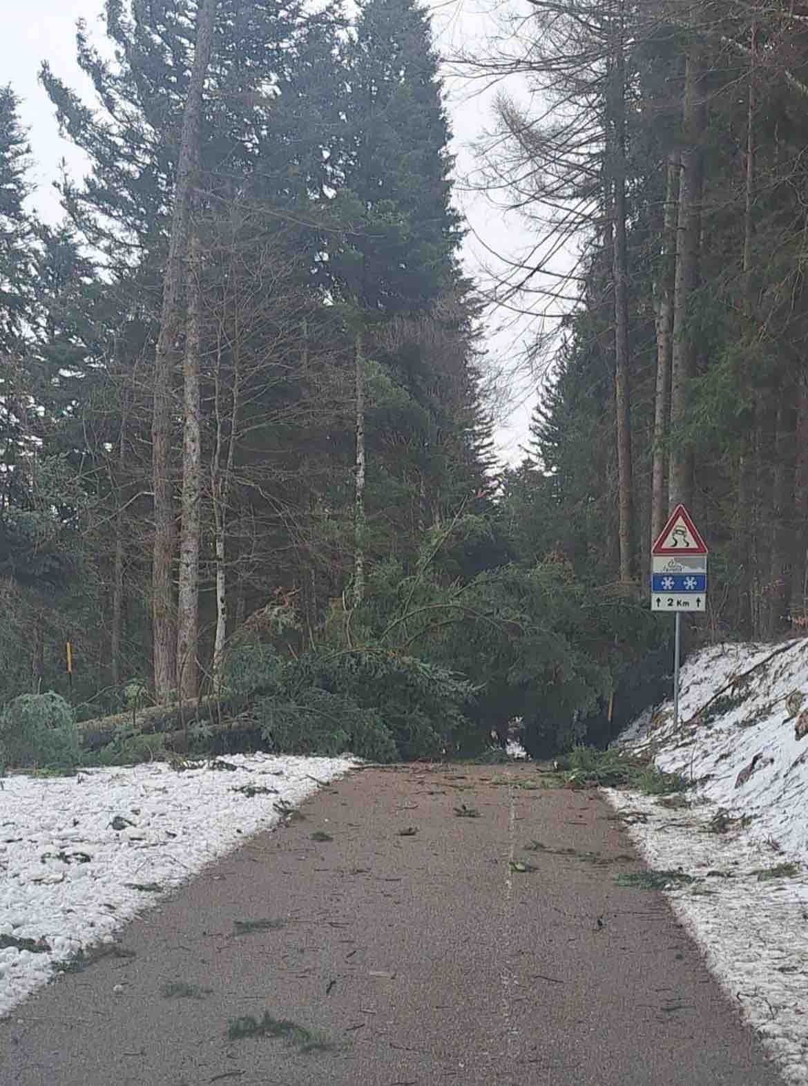 GARDA - Vento forte: vigili del fuoco al lavoro in tutto il Trentino, più di 60 interventi