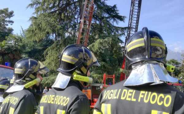 ATTUALITÀ - Vento, caduta alberi e disagi al traffico in Trentino