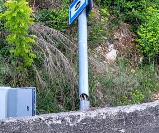 SEBINO - Indagini sull'abbattimento di un autovelox tra Iseo e Polaveno