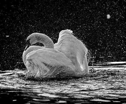 CULTURA - Arco: mostra delle opere di Enrico Meneghelli e Tiziano Tonoli 