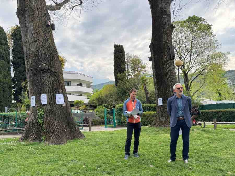 ATTUALITÀ - Riva del Garda, morti i due pioppi alla spiaggia dei Pini