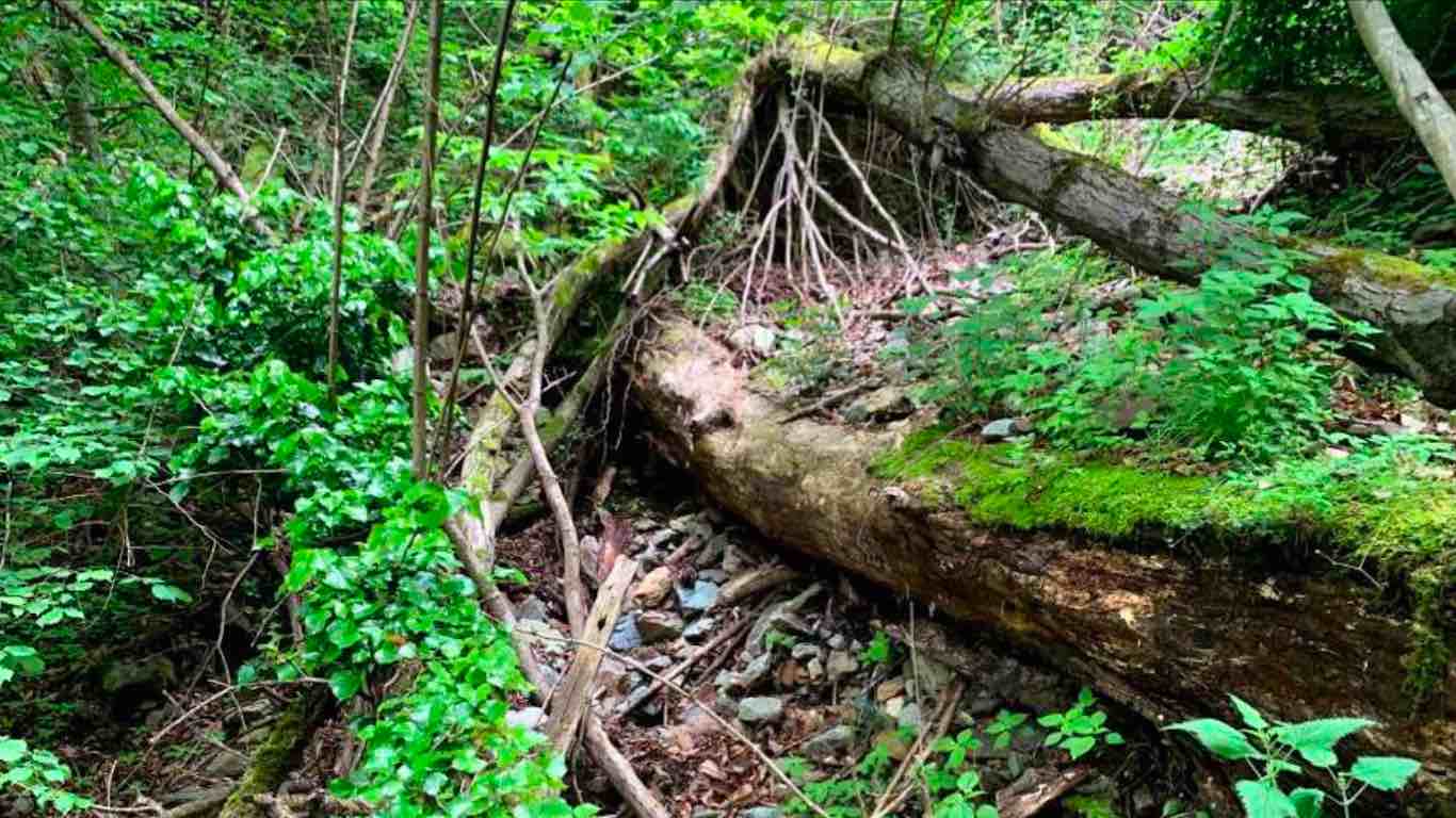 VALTELLINA - Sondrio, interventi di messa in sicurezza nelle frazioni
