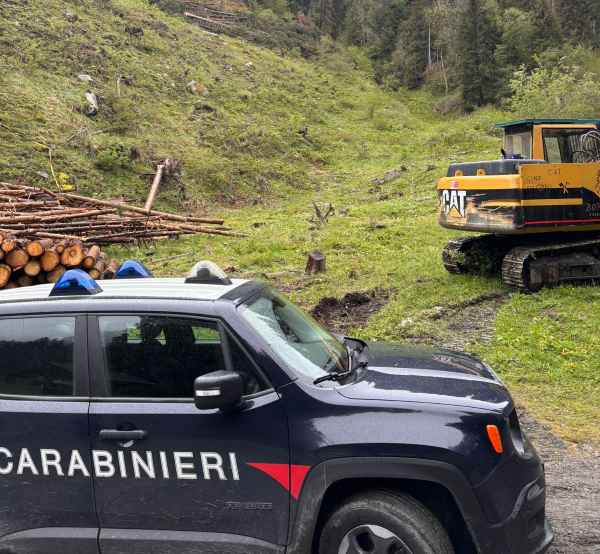 VALLE CAMONICA - Tragedia nei boschi di Temù: 52enne muore travolto da un albero