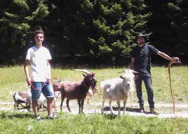 ATTUALITÀ - Fattorie didattiche e agriturismi: open day anche in Trentino