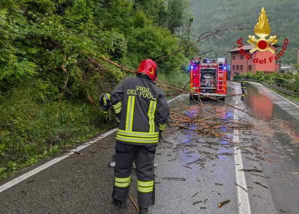 VALLE CAMONICA - Pioggia e vento: caduta piante sulla statale 42 a Berzo Demo