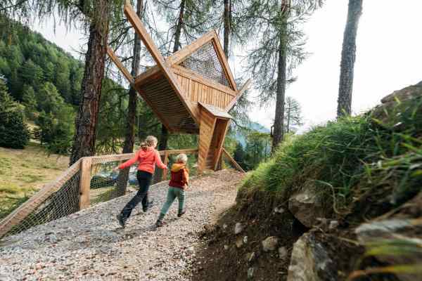 VAL DI PEJO - Peio inaugura Le Case Volanti, nuovo parco avventura sospeso tra i larici