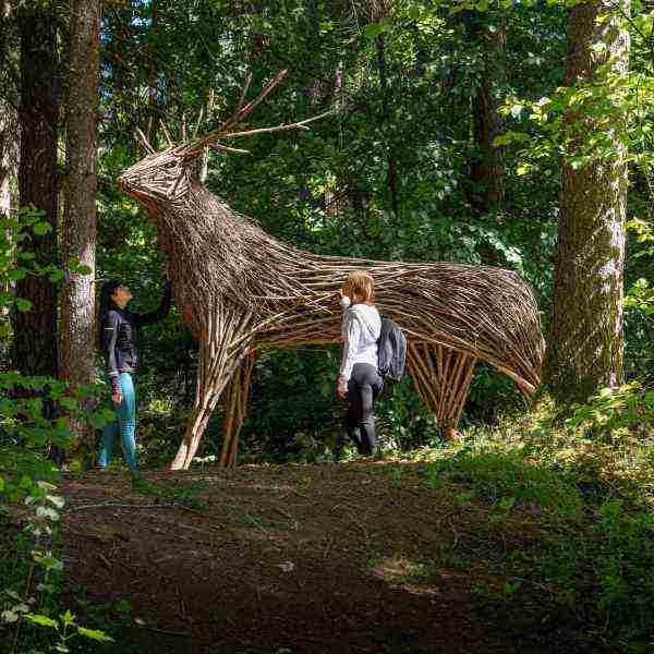 VAL DI SOLE E NON - A Cavareno il Festival delle Armonie tra natura e benessere