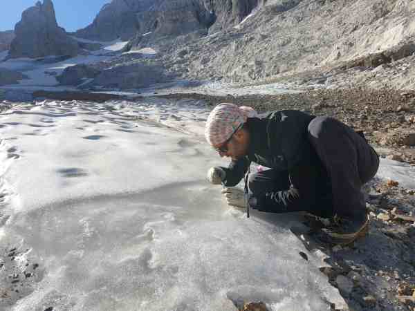 TRENTINO - Ritiro dei ghiacciai: la fauna rischia di scomparire