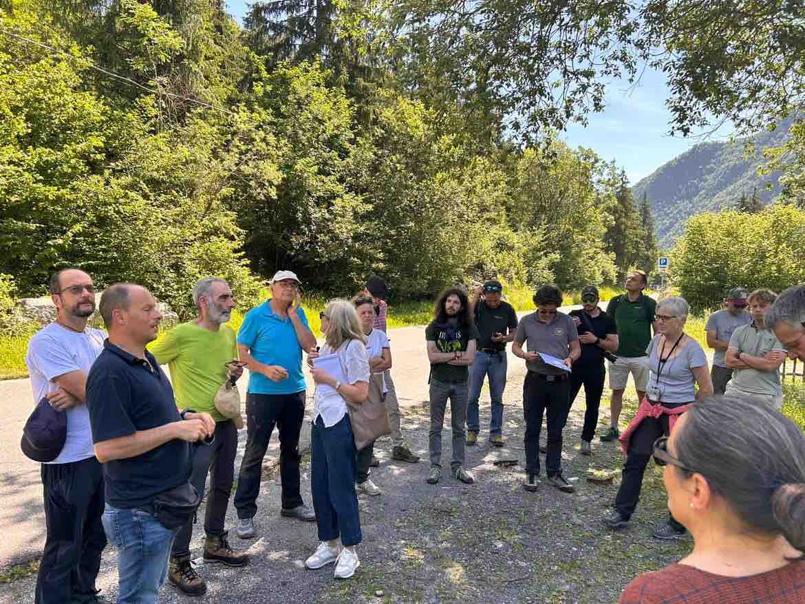 ATTUALITÀ - Arge Alp, l'intelligenza artificiale entra nei boschi