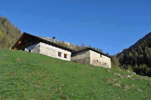 ATTUALITÀ - Highlander Adventure in Val di Sole tra boschi e crinali alpini