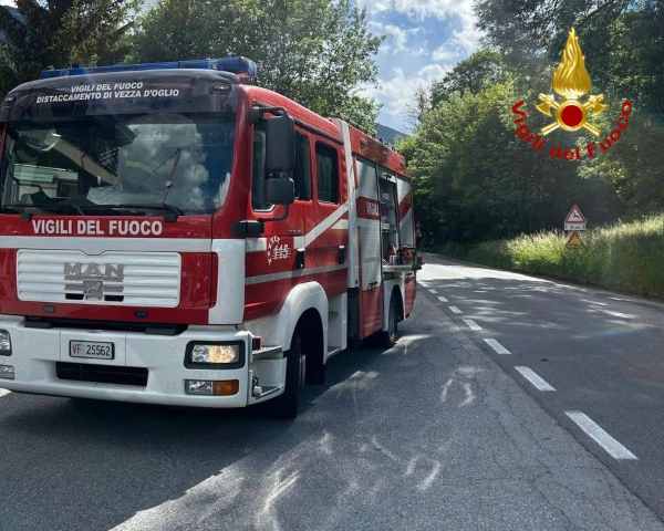VALLE CAMONICA - Pianta cade sulla statale 42 a Vione, ferito 25enne