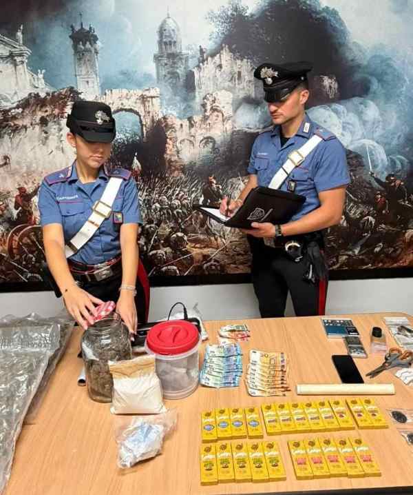 CRONACA - Blitz dei carabinieri in due abitazioni di Carpenedolo