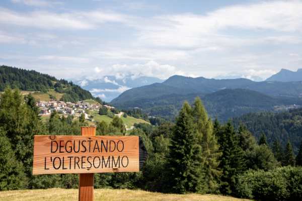 ALPE CIMBRA - Alpe Cimbra, torna la Camminata enogastronomica