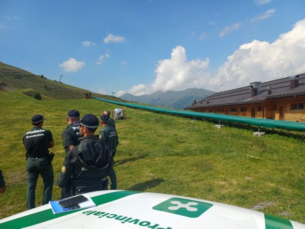 ATTUALITÀ - Crescono le segnalazioni di orsi in Valle Camonica, danni a tre apiari