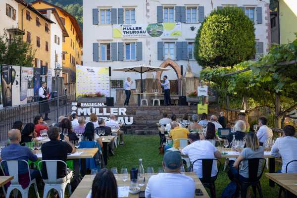 ATTUALITÀ - Val di Cembra: un successo la rassegna Müller Thurgau: Vino di Montagna