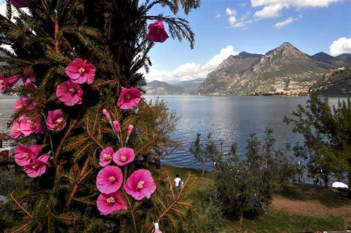 SEBINO - A Monte Isola la mostra antologica di Beppe Prandelli
