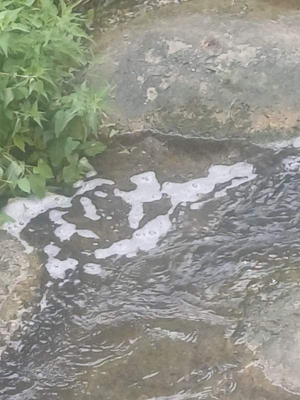 SEBINO - Sulzano, il torrente Calchere ricoperto da uno strato di schiuma bianca