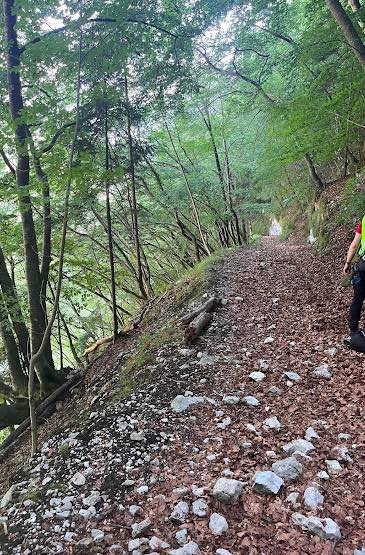 CRONACA - Tragedia in Tesino: ciclista perde la vita dopo una caduta in un dirupo