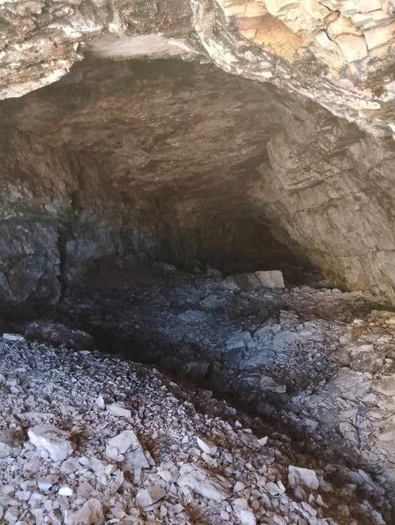 ATTUALITÀ - Ritrovamento di Ursus ladinicus sull’altopiano di Conturines