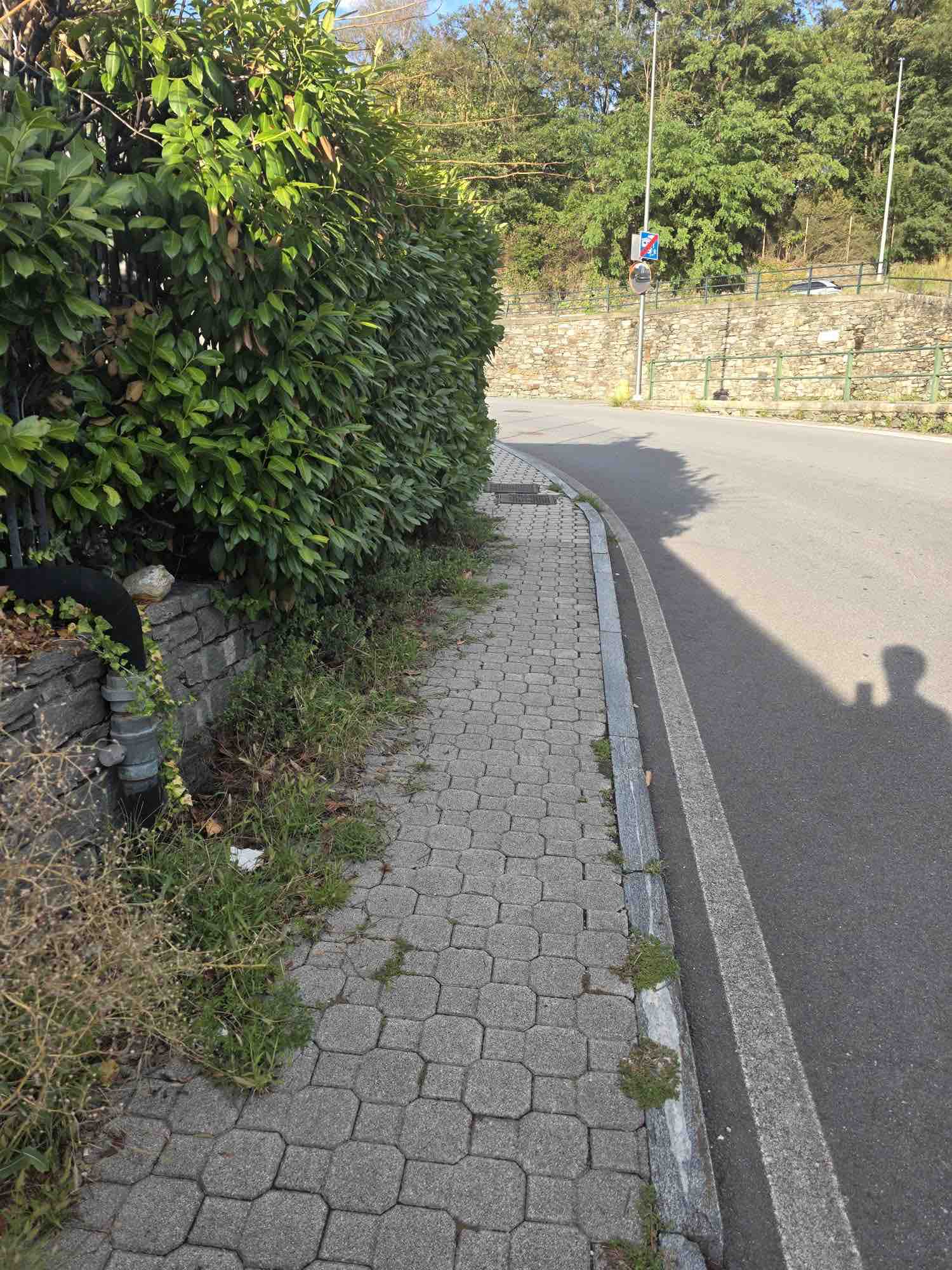 VALTELLINA - Pulizia tombini e verde: nuovi interventi a Sondrio