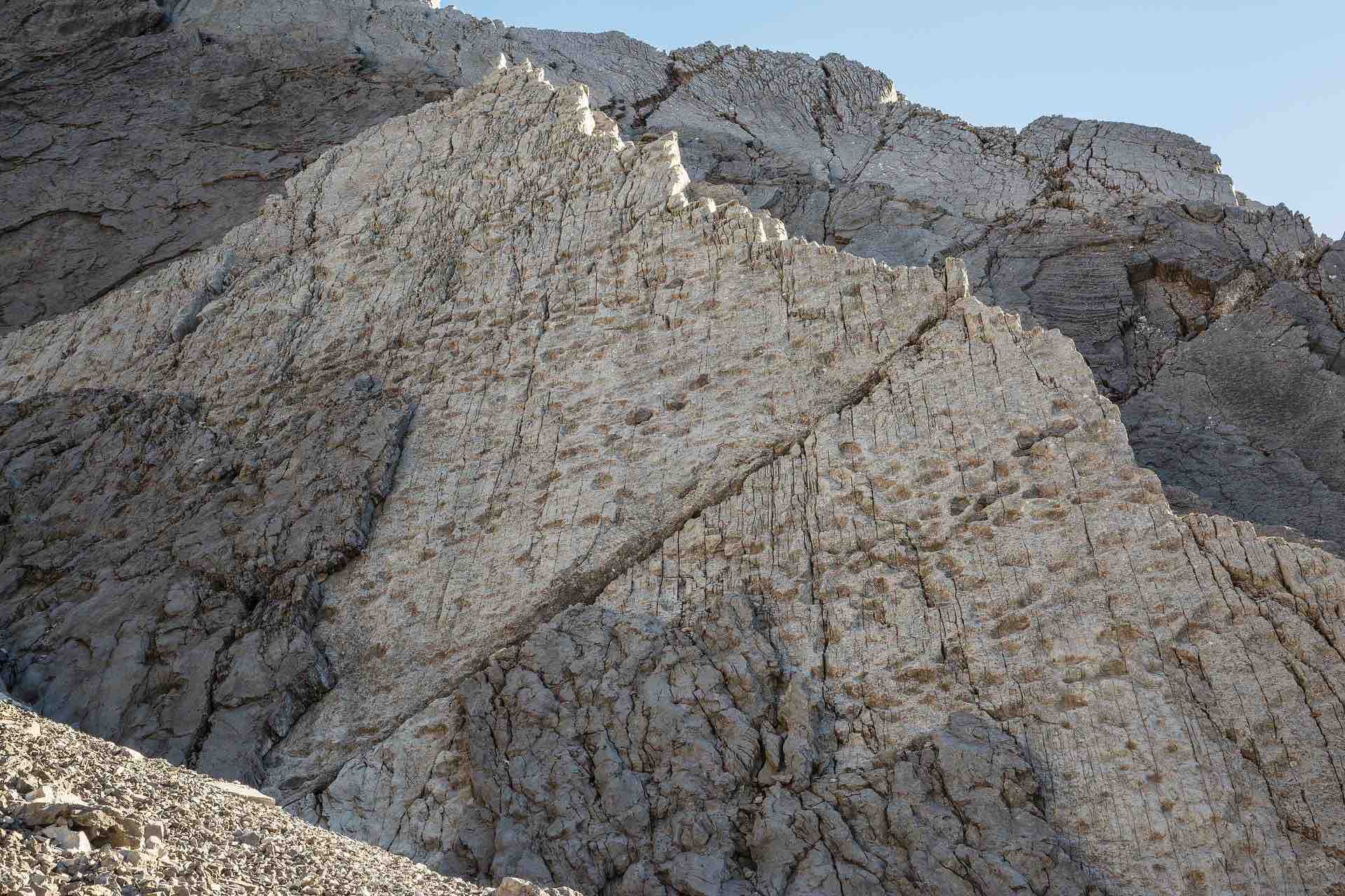 BORMIO - Quando le Alpi erano un mare tropicale: nel Triassic Park dello Stelvio a caccia di orme di dinosauri