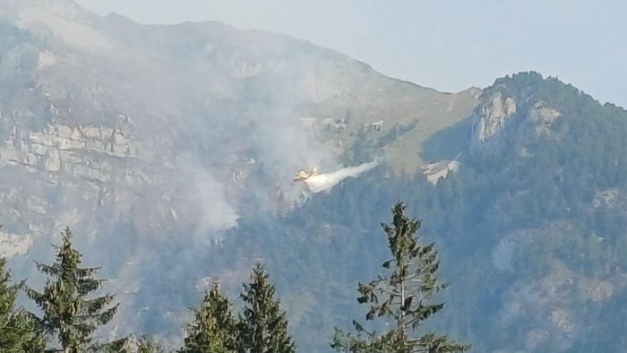CRONACA - Mobilitazione per domare l'incendio sul Bedolé a Spormaggiore